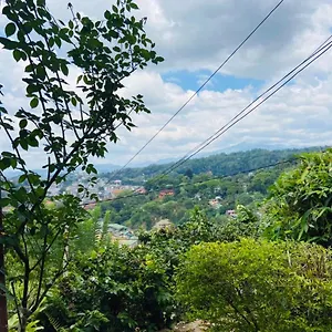 https://mount-palace-by-resort-beam.negombohotels.net